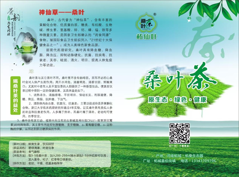 河南17.png
