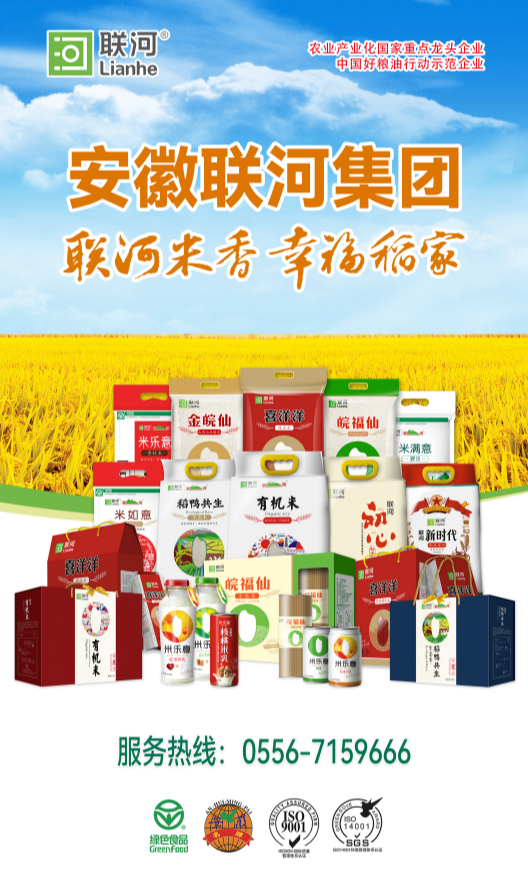 安徽联河集团.png